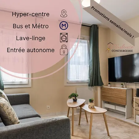 L 'emeraude Toulousaine Apartment *