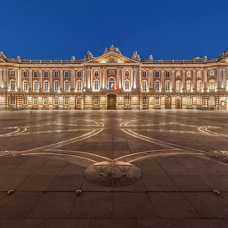 L 'emeraude Toulousaine דירה טולוז