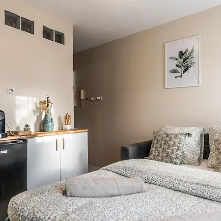 L 'emeraude Toulousaine טולוז